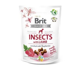 Brit Care Crunchy Cracker Insects with Lamb koera maiused, 200 g x 4 hind ja info | Maiustused koertele | kaup24.ee