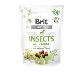 Brit Care Crunchy Cracker Insects with Rabbit koera maiused, 200 g x 4 hind ja info | Maiustused koertele | kaup24.ee