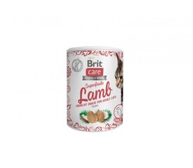 Brit Care Cat Superfruits Lamb лакомство беззерновое для кошек, 100 г x 4 цена и информация | Лакомства для котов | kaup24.ee