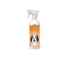 Bio-Groom Coat-Polish sära palsam koertele, 473 ml hind ja info | Karvahooldustooted loomadele | kaup24.ee