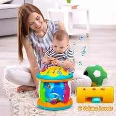 Звездный проектор со звуковыми и световыми эффектами Jialegu Toys цена и информация | Игрушки для малышей | kaup24.ee