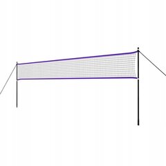 Сетка для бадминтона/волейбола Nils NT300, 6,2 x 1,6 м цена и информация | Волейбольные сетки | kaup24.ee