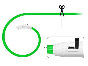 Led kaelarihm koertele, 50 cm hind ja info | Kaelarihmad ja traksid koertele | kaup24.ee