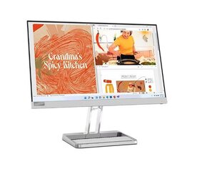 Lenovo L22i-40 (67AEKACBEU) hind ja info | Monitorid | kaup24.ee