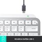 Logitech MX Keys Mini, qwerty, valge hind ja info | Klaviatuurid | kaup24.ee