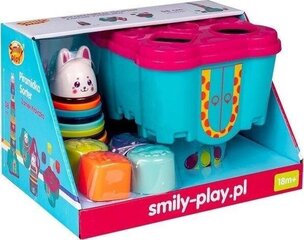 Arendav mänguasi lastele Smily Play hind ja info | Imikute mänguasjad | kaup24.ee