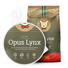 Husse Opus Lynx kassitoit, 2 kg hind ja info | Kuivtoit kassidele | kaup24.ee