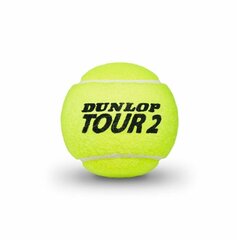 Tennisepallid Brilliance Dunlop 601326 (3 pcs) hind ja info | Välitennise tooted | kaup24.ee