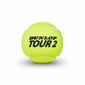 Tennisepallid Brilliance Dunlop 601326 (3 pcs) цена и информация | Välitennise tooted | kaup24.ee