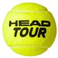 Head Touri tennisepallid, 1 tuub x 4 palli hind ja info | Välitennise tooted | kaup24.ee