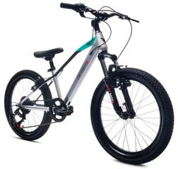 20-tolline poiste lasteratas MTB Shimano 6 käiku VERDANT Juniper hind ja info | Jalgrattad | kaup24.ee