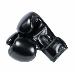 Core Boxing Gloves 10 OZ цена и информация | Боевые искусства | kaup24.ee