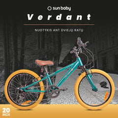 Велосипед 20 дюймов для мальчика легкий MTB Shimano 6 передач заслонка Verdant Rowan SHOX цена и информация | Велосипеды | kaup24.ee