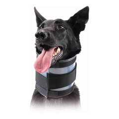 Широкий ошейник для собак KVP Чёрный (10-41 cm) цена и информация | Одежда для собак | kaup24.ee