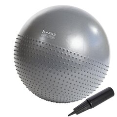 Võimlemispall HMS YB03N Gym Ball 65 cm, hall hind ja info | Võimlemispallid | kaup24.ee