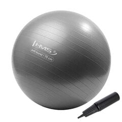 Võimlemispall HMS YB02N Gym Ball 75 cm, hall hind ja info | Võimlemispallid | kaup24.ee