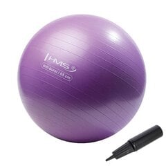 Гимнастический мяч HMS YB02N Gym Ball 65 см, фиолетовый цена и информация | Гимнастические мячи | kaup24.ee