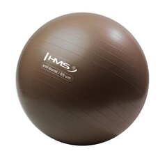 Гимнастический мяч HMS YB02N Gym Ball 65 см, коричневый цена и информация | Гимнастические мячи | kaup24.ee