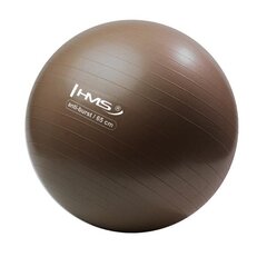 Võimlemispall HMS YB02N Gym Ball 65 cm, pruun hind ja info | Võimlemispallid | kaup24.ee