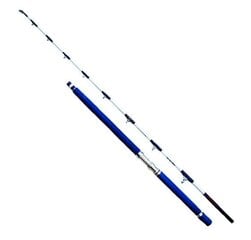 Удилище для морской воды SFT Deep Sea Jig 2,10 м 300-1000 г 2 сек. цена и информация | Удочки, подставки и держатели | kaup24.ee