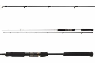 Спиннинг Daiwa Airity Jigger 2.70м 7-28г цена и информация | Удочки, подставки и держатели | kaup24.ee