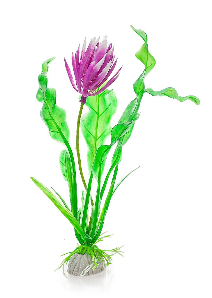 Taimede blister 20cm 2b54 Happet цена и информация | Akvaariumi taimed ja dekoratsioonid | kaup24.ee