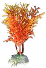 Растение блистер 10 см 1b22 Хаппет цена и информация | Аквариумные растения и декорации | kaup24.ee