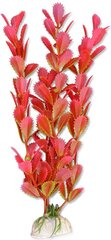 Taimede blister 20cm 2b39 Happet hind ja info | Akvaariumi taimed ja dekoratsioonid | kaup24.ee