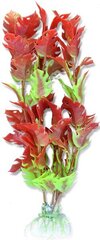 Taimede blister 20cm 2b49 Happet hind ja info | Akvaariumi taimed ja dekoratsioonid | kaup24.ee