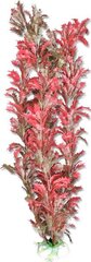 Taimede blister 40cm 4b62 Happet hind ja info | Akvaariumi taimed ja dekoratsioonid | kaup24.ee