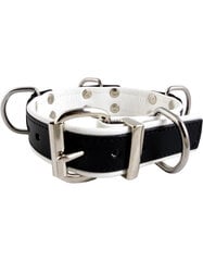 Mister B slave collar with 4 D-rings Белый цена и информация | БДСМ и фетиш | kaup24.ee