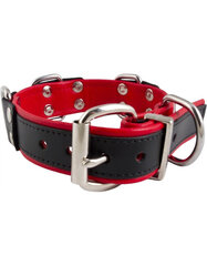 Mister B slave collar with 4 D-rings Красный цена и информация | БДСМ и фетиш | kaup24.ee