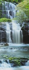 Fototapeet Pura Kaunui Falls hind ja info | Fototapeedid | kaup24.ee