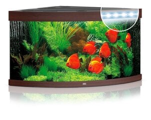 Akvaarium Trigon LED 350 L tume puit hind ja info | Akvaariumid ja seadmed | kaup24.ee