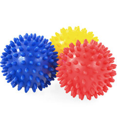 Hedgehog Ball Soft Profit 3 tk hind ja info | Massaažikaubad | kaup24.ee