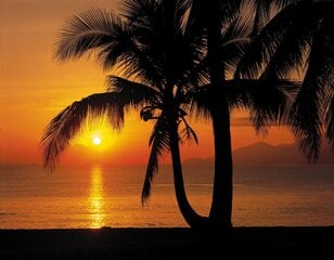 Фотообои Palmy Beach Sunrise цена и информация | Фотообои | kaup24.ee