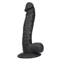 Dildo koos iminapaga liige realistlik peenis 22cm hind ja info | Dildod | kaup24.ee