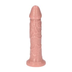 Dildo paksud veenid liige looduslik seks peenis 20cm цена и информация | Dildod | kaup24.ee