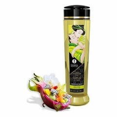 Massaažiõli Iha Shunga Irresistible (240 ml) hind ja info | Vibraatorid | kaup24.ee