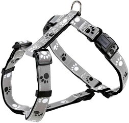 Нагрудный ремень: Trixie Silver Reflect H-Harness &quot;M-L&quot;, 50-75 см|25 мм цена и информация | Ошейники, подтяжки для собак | kaup24.ee