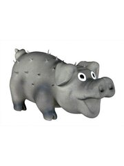 Игрушка для собак Свинка из щетины, латекс, 10 см цвет случайный цена и информация | Игрушки для собак | kaup24.ee