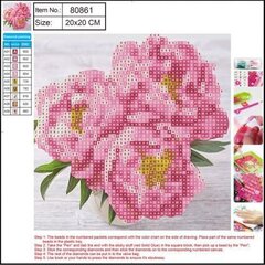 Teemant mosaiik 5D "Peonies" 20x20cm hind ja info | Teemantmaalid, teemanttikandid | kaup24.ee