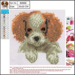 Teemant 5D "Puppy" 20x20cm hind ja info | Teemantmaalid, teemanttikandid | kaup24.ee