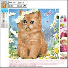 Алмазная мозаика  5D "Kitty" 20x20cm цена и информация | Алмазная мозаика | kaup24.ee