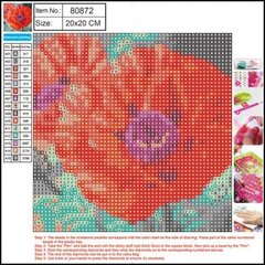 Teemant mosaiik 5D "Poppy" 20x20cm hind ja info | Teemantmaalid, teemanttikandid | kaup24.ee