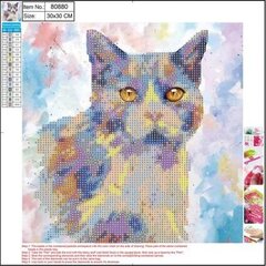 Алмазная мозаика 5D "Cat" 30x30cm цена и информация | Алмазная мозаика | kaup24.ee