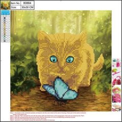 Teemant mosaiik 5D "Cat" 30x30cm hind ja info | Teemantmaalid, teemanttikandid | kaup24.ee