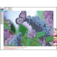 Алмазная мозаика  5D "Butterfly" 30x40cm цена и информация | Алмазная мозаика | kaup24.ee