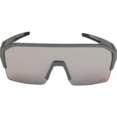 Alpina RAM HR Q-LITE V cycling glasses moon grey hind ja info | Spordiprillid | kaup24.ee