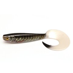 FOX RAGE Pro Grub Super Natural Pike 16cm hind ja info | Landid, voblerid | kaup24.ee